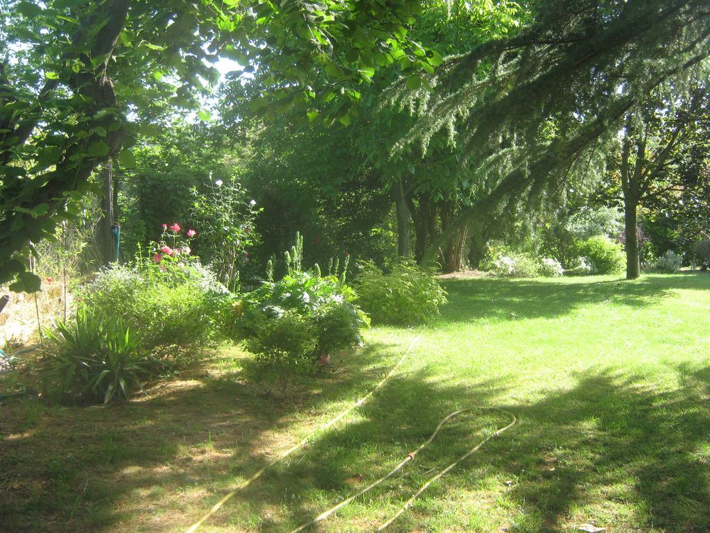 La Villa Di Lucia Viterbo Zimmer foto